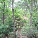 삼거리장수경로당 이미지