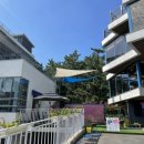 클래시듀드(classydude) 이미지