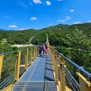 [울산출발] 9월20일(일) 거창 수승대 + 창포원 + 감악산 아스타국화 꽃별여행 이미지
