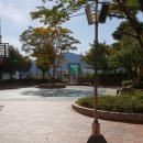 수영강변로1 이미지