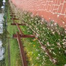 모라지구공원 이미지