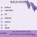 등나무집민박 이미지