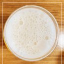 주식회사 명성설비 | [맥주] 중국 칭따오 라오샨 맥주, 깔끔하고 청량한 라거 맥주 추천
