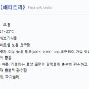 해피파파 이미지