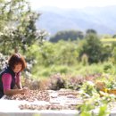 쌍암농장 이미지