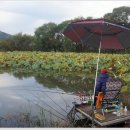 포인트낚시터 이미지