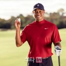 타이거상사 이미지