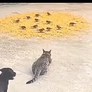 Backstreet Boys - As Long As You Love Me 이미지