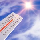 엘케이짐 이미지