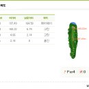 파스크린골프