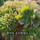 상월 농장 이미지