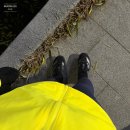 호카 본디8, 9 안정화→아디다스 아디제로 에보 SL 러닝화 변경 후기