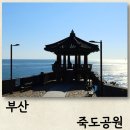 부산 송정 해수욕장 여행코스 가볼만한곳 죽도공원 놀거리