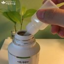친환경 식물키움