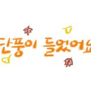 꼼꼬미크린 이미지