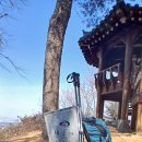 2026.3.1.천안.태조산.천안역.급행.3시30출발.천안역.24번.각원사종점.나올때.51번.24.52.번. 이미지