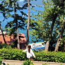 해금강로 | 거제여행] 여름휴가 day2:: 해금강 유람선 | 외도 보타니아 | 학동 1박2일 맛있는 집 |