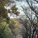 구름(GURMM) 티스토리