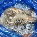 해운호수산 이미지