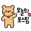 본가한우프라자 이미지