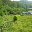 예산청과 이미지