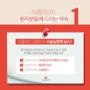 더올림성형외과의원 네이버블로그