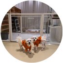 견생낙원 이미지