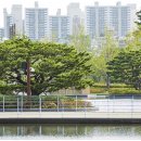 은행나무어린이공원화장실 이미지