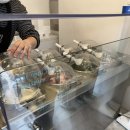 녹쟌니 | 강원도 속초 녹쟌니 젤라또 아이스크림 후기