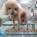 별빛동물병원 이미지