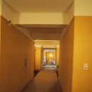 조선비치 이미지