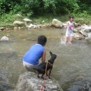 코코팬션 이미지