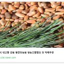 강원평창농원 네이버블로그