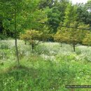 새청주유치원 이미지