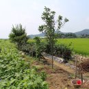 원정농장 이미지