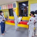 준태권도 이미지