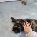 양도농장 이미지