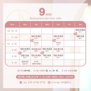 바비폴스튜디오