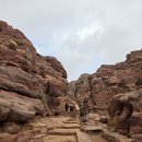 상인현대Self주유소 | 페트라