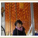 유평농장 이미지