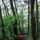 금계령주유소 이미지