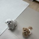 유성노래주점 이미지