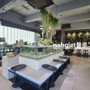 해피소닉 | 점심시간에 만나는 작은 동물원｜강남 한복판 파충류 힐링 카페 슬로우 커피 역삼점 후기