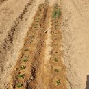 기흥2농장 이미지