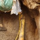 (주)태영에너지 이미지