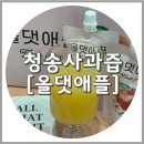 청송사과즙 추천, 올댓애플 청송 사과즙 30포(파우치형)