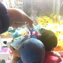 인형뽑기 이미지