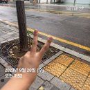즐겁다가도 현타가 오던 한주