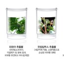 비비뷰티샵(BB뷰티샵) 이미지