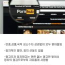 클린냥이 이미지